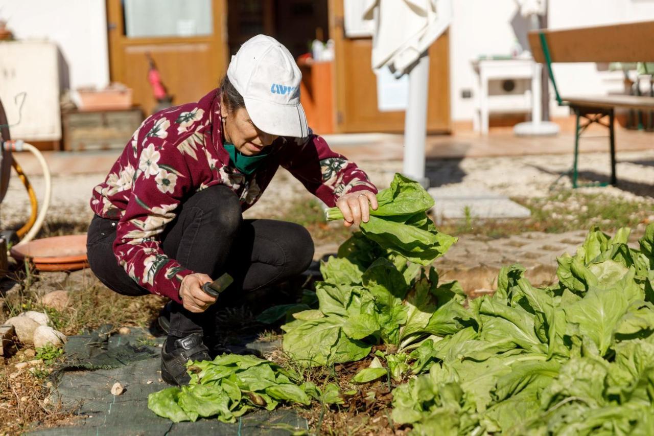 Agriturismo Agricamping Garda Natura กอสเตร์มาโน ภายนอก รูปภาพ